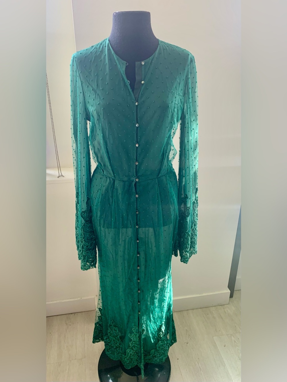 Ulyana Sergeenko Sheer Emerald Green Button-Front Maxi Dress